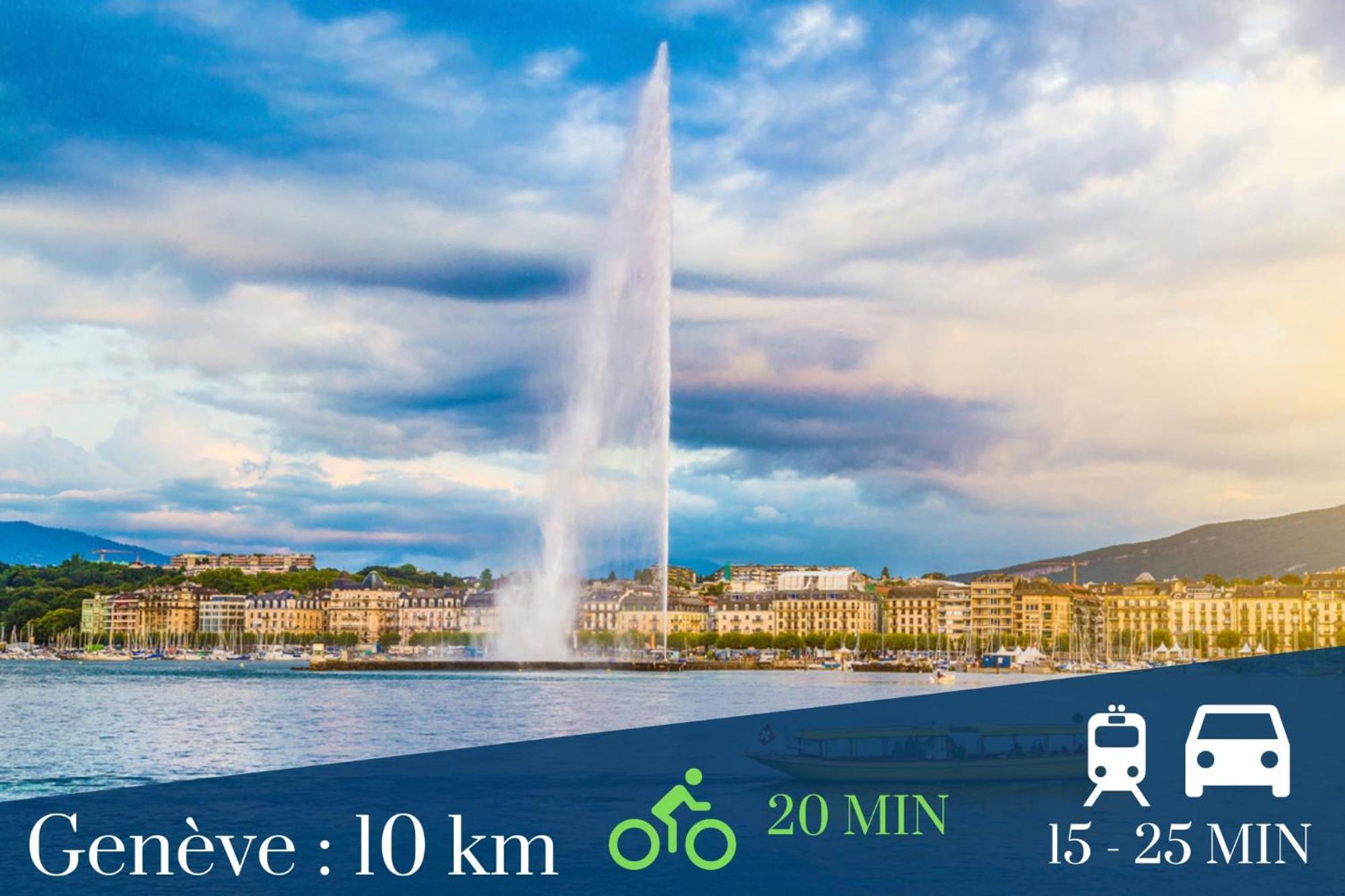 Homey Wild - Proche Gare Et Tram - Proche Centre - Balcon Prive - Parking Prive - Wifi Gratuit Annemasse Exteriör bild
